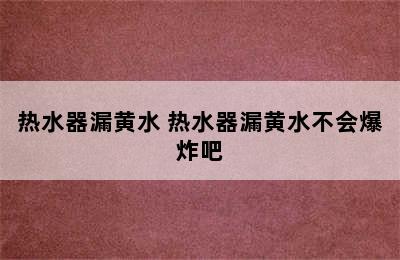 热水器漏黄水 热水器漏黄水不会爆炸吧